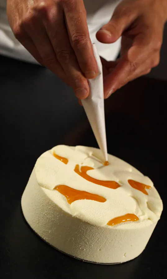 Site web & landing page